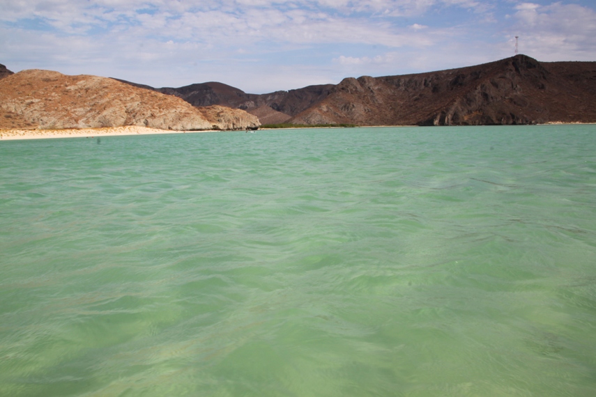 Playa Balandra, La Paz